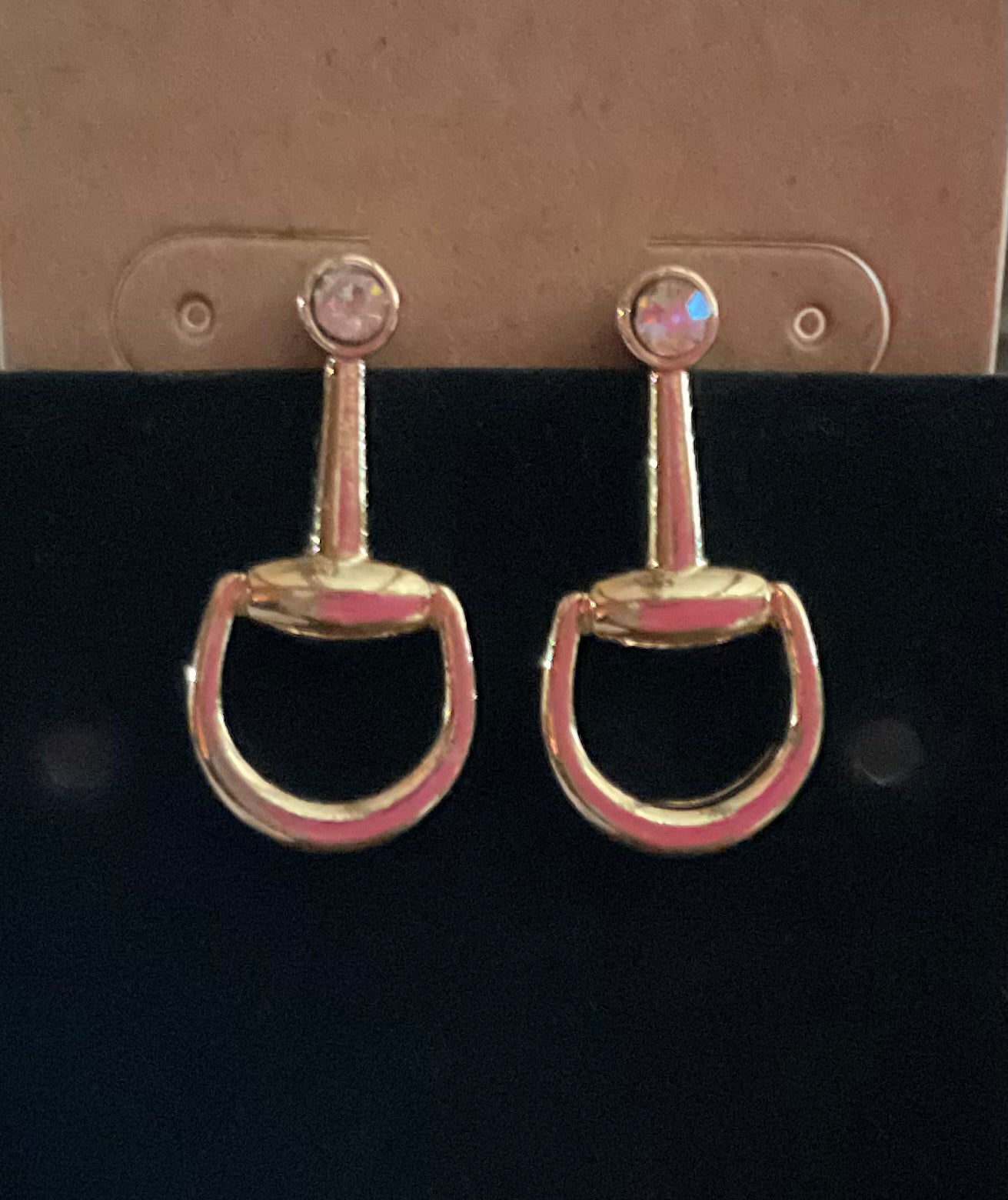A Bit of Class Earrings