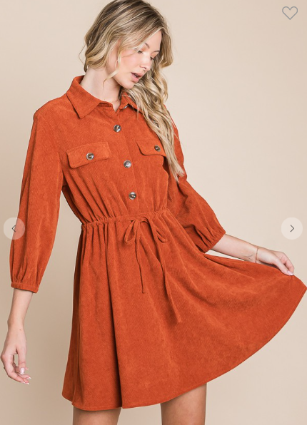 Curiously Corduroy Dress